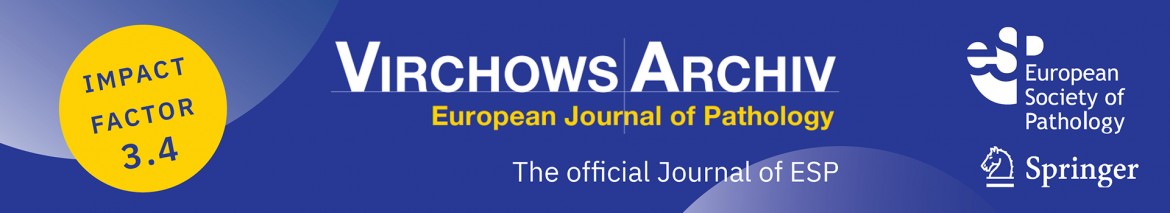 Virchows Archiv - European Journal of Pathology